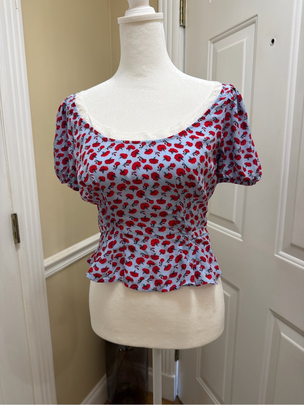 J. Crew Light Blue Crop Top with Red Floral Print